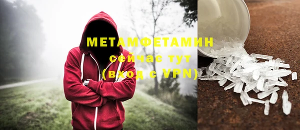 мет Алексин