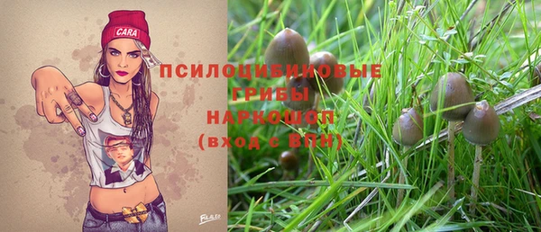 стафф Алексеевка
