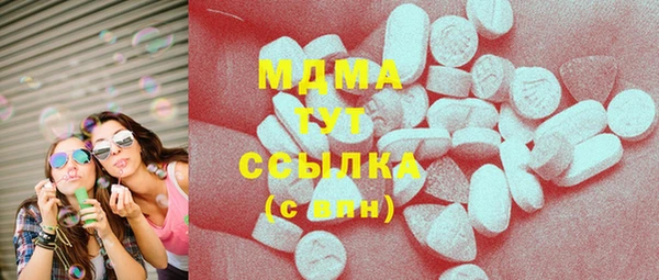 мет Алексин
