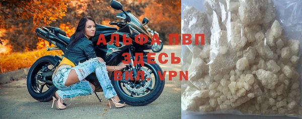 мет Алексин