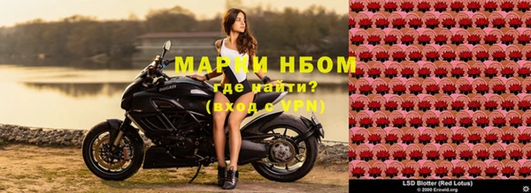 мет Алексин