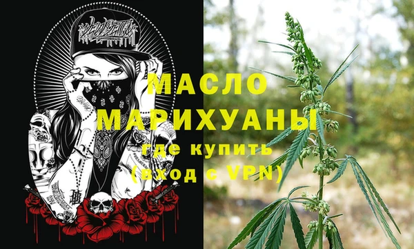 мет Алексин