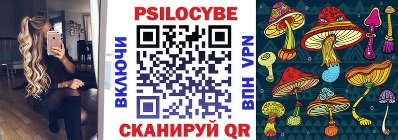 купить наркотики цена  Добрянка  hydra   Галлюциногенные грибы MAGIC MUSHROOMS 